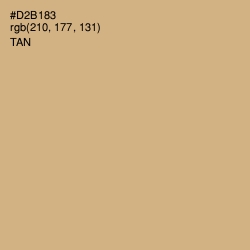 #D2B183 - Tan Color Image