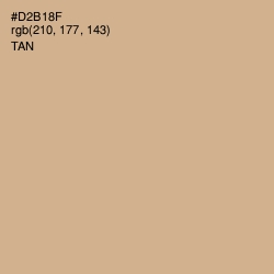 #D2B18F - Tan Color Image