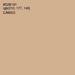 #D2B191 - Cameo Color Image