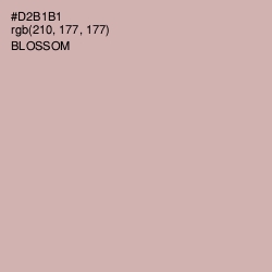 #D2B1B1 - Blossom Color Image