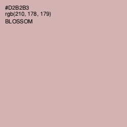 #D2B2B3 - Blossom Color Image