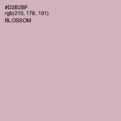 #D2B2BF - Blossom Color Image