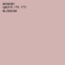 #D2B3B1 - Blossom Color Image