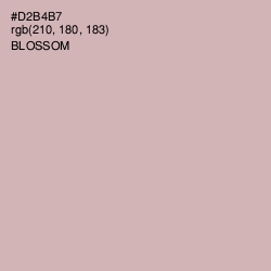 #D2B4B7 - Blossom Color Image