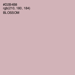 #D2B4B8 - Blossom Color Image