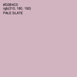 #D2B4C0 - Pale Slate Color Image