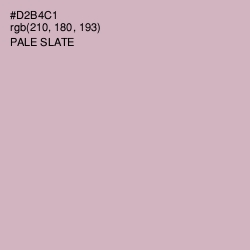 #D2B4C1 - Pale Slate Color Image