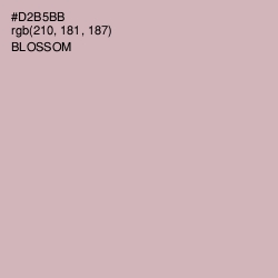 #D2B5BB - Blossom Color Image