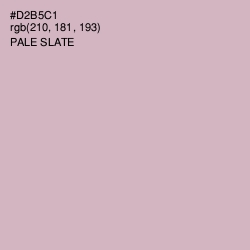 #D2B5C1 - Pale Slate Color Image