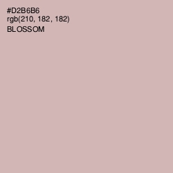 #D2B6B6 - Blossom Color Image