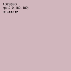 #D2B6BD - Blossom Color Image