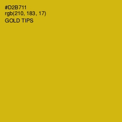 #D2B711 - Gold Tips Color Image