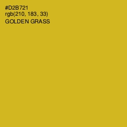 #D2B721 - Golden Grass Color Image