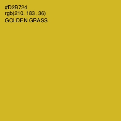 #D2B724 - Golden Grass Color Image