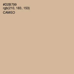#D2B799 - Cameo Color Image