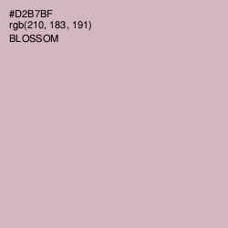 #D2B7BF - Blossom Color Image