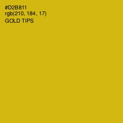 #D2B811 - Gold Tips Color Image