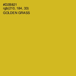 #D2B821 - Golden Grass Color Image