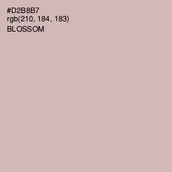 #D2B8B7 - Blossom Color Image