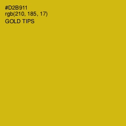 #D2B911 - Gold Tips Color Image