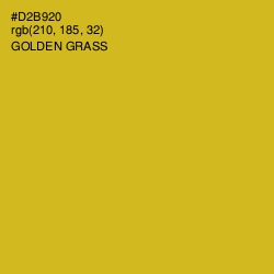 #D2B920 - Golden Grass Color Image