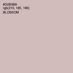 #D2B9BA - Blossom Color Image