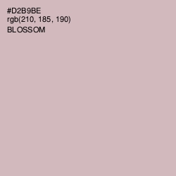 #D2B9BE - Blossom Color Image