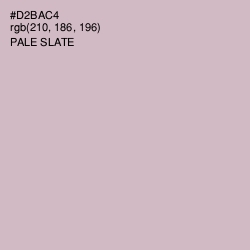 #D2BAC4 - Pale Slate Color Image