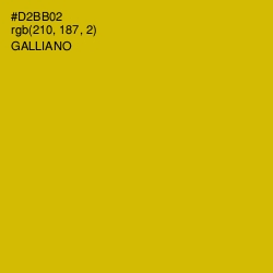 #D2BB02 - Galliano Color Image