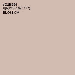 #D2BBB1 - Blossom Color Image