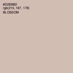 #D2BBB2 - Blossom Color Image