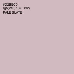 #D2BBC0 - Pale Slate Color Image