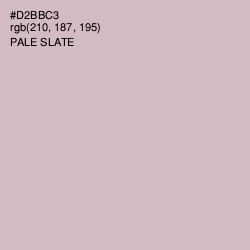 #D2BBC3 - Pale Slate Color Image