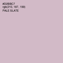 #D2BBC7 - Pale Slate Color Image