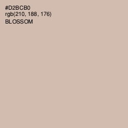 #D2BCB0 - Blossom Color Image