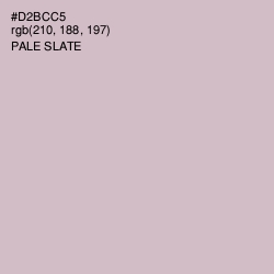 #D2BCC5 - Pale Slate Color Image