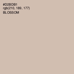 #D2BDB1 - Blossom Color Image