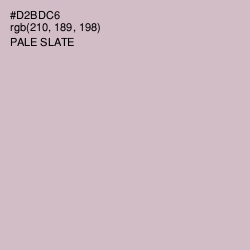 #D2BDC6 - Pale Slate Color Image