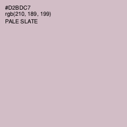 #D2BDC7 - Pale Slate Color Image