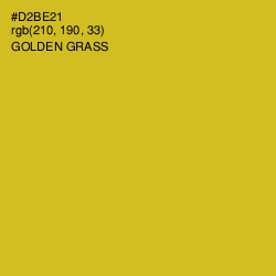 #D2BE21 - Golden Grass Color Image