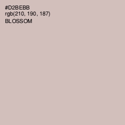 #D2BEBB - Blossom Color Image