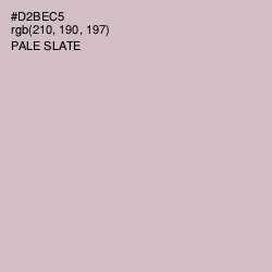 #D2BEC5 - Pale Slate Color Image