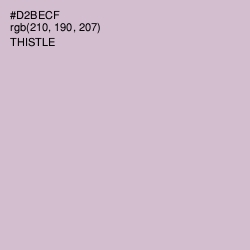 #D2BECF - Thistle Color Image