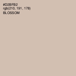 #D2BFB2 - Blossom Color Image