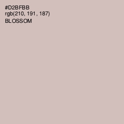 #D2BFBB - Blossom Color Image