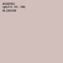 #D2BFBC - Blossom Color Image