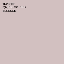 #D2BFBF - Blossom Color Image