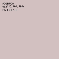 #D2BFC0 - Pale Slate Color Image
