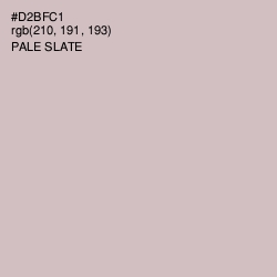 #D2BFC1 - Pale Slate Color Image