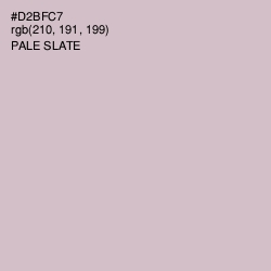 #D2BFC7 - Pale Slate Color Image